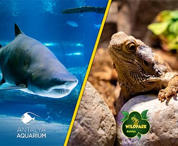Antalya Aquarium & WildPark